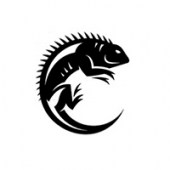 Слънчеви очила и ски маски Iguana
